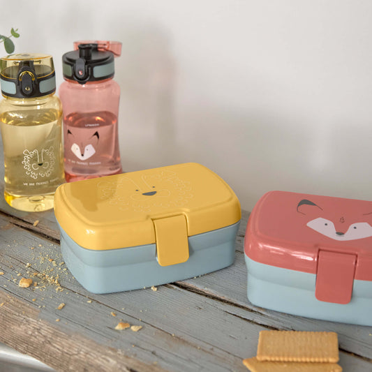 Lunch Set "Löwe" - Trinkflasche und Jausenbox