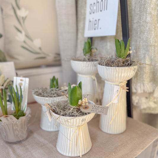 Hyazinthenvase aus Keramik "geriffelt", niedrig