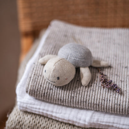 Babyrassel Schildkröte, grau