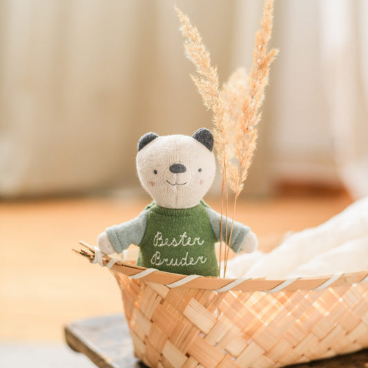 Bär "Bester Bruder" mit Shirt in grün/eisblau