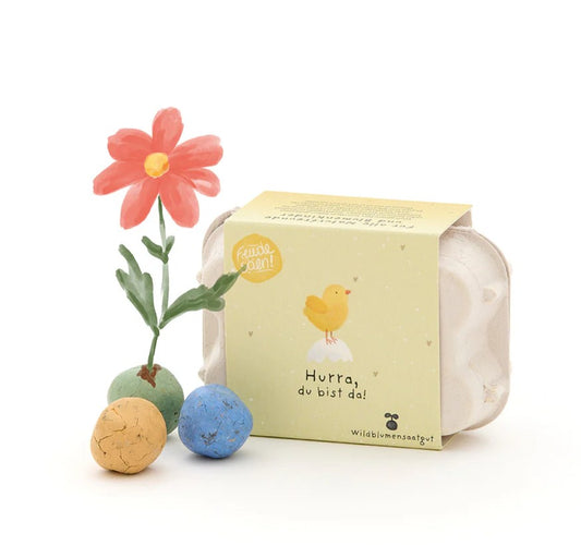 Blumensamen-Kugeln "Hurra du bist da"