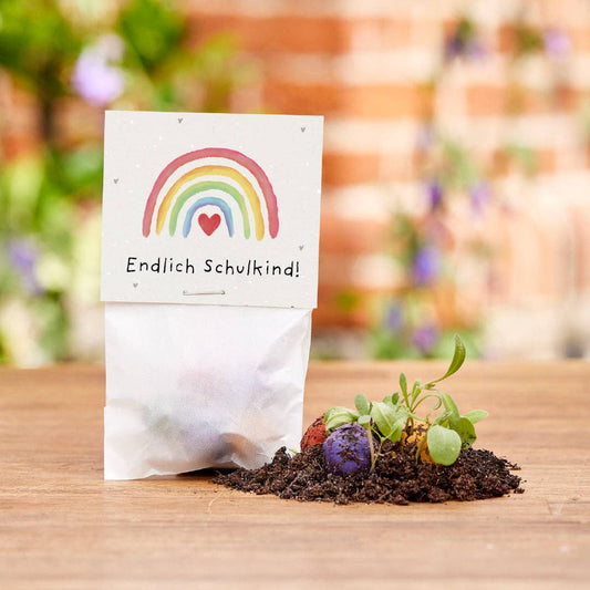 Blumenmurmeln "Endlich Schulkind"
