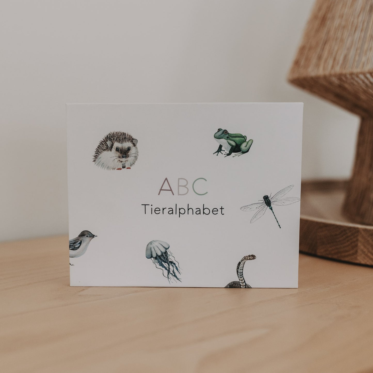 ABC Karten-Set