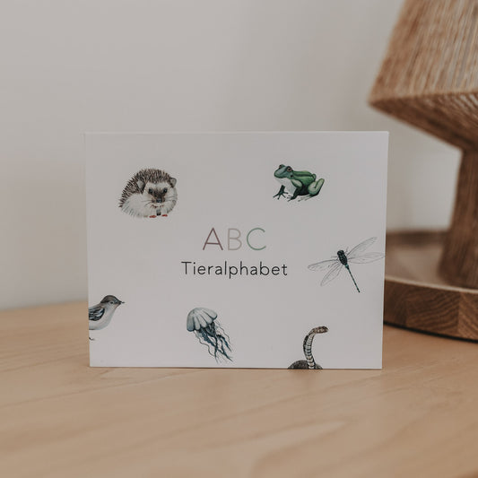 ABC Karten-Set