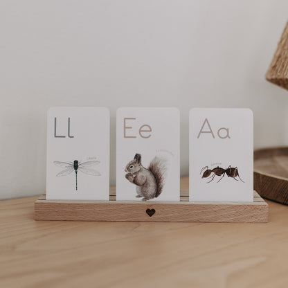 ABC Karten-Set